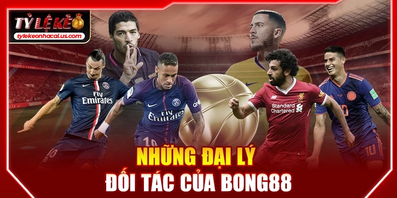 Những đại lý đối tác của bong88